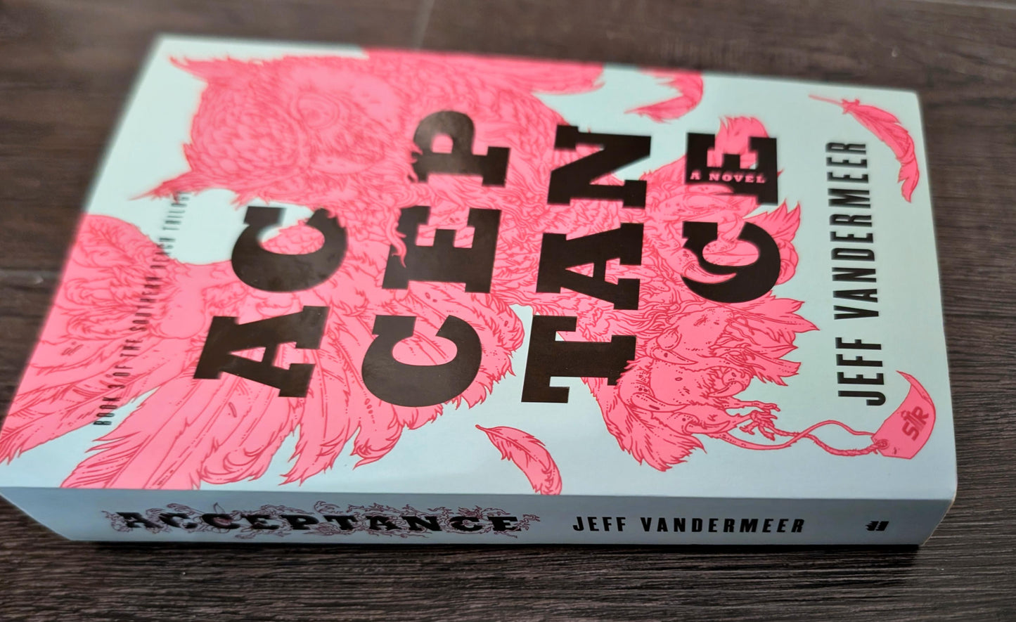 Acceptance by Jeff Vandermere