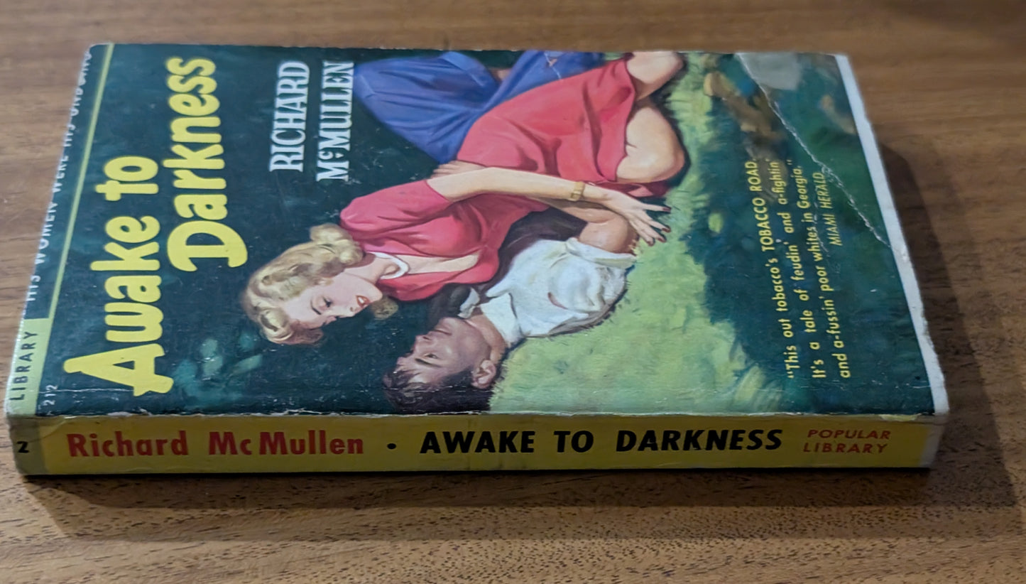 Awake to Darkness by Richard McMullen