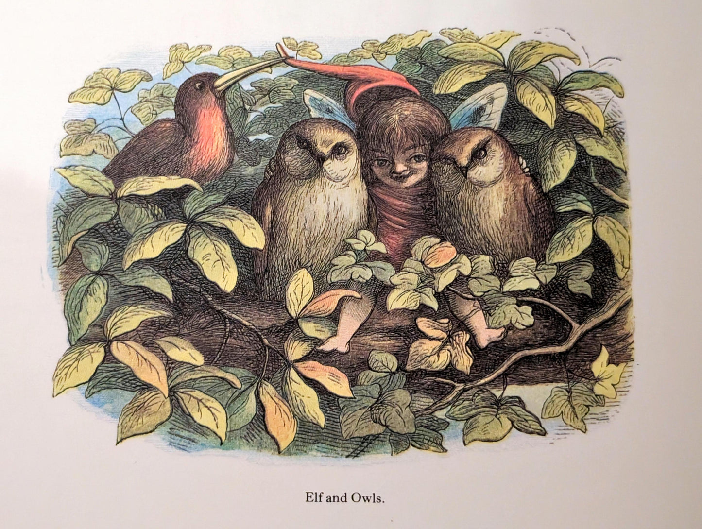 In Fairyland: A Series of Pictures from the Elf World by Richard Doyle