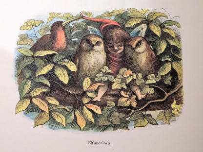 In Fairyland: A Series of Pictures from the Elf World by Richard Doyle