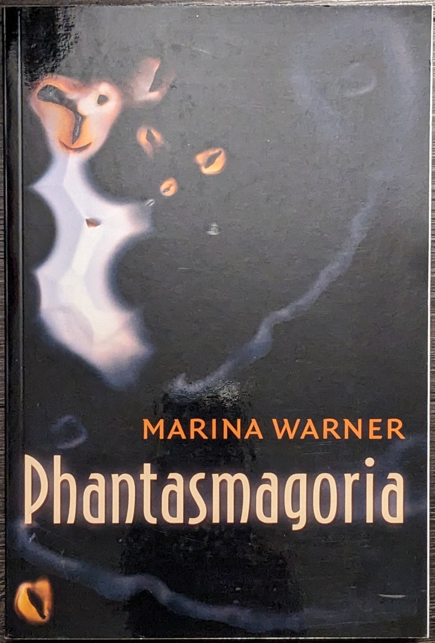 Phantasmagoria by Marina Warner