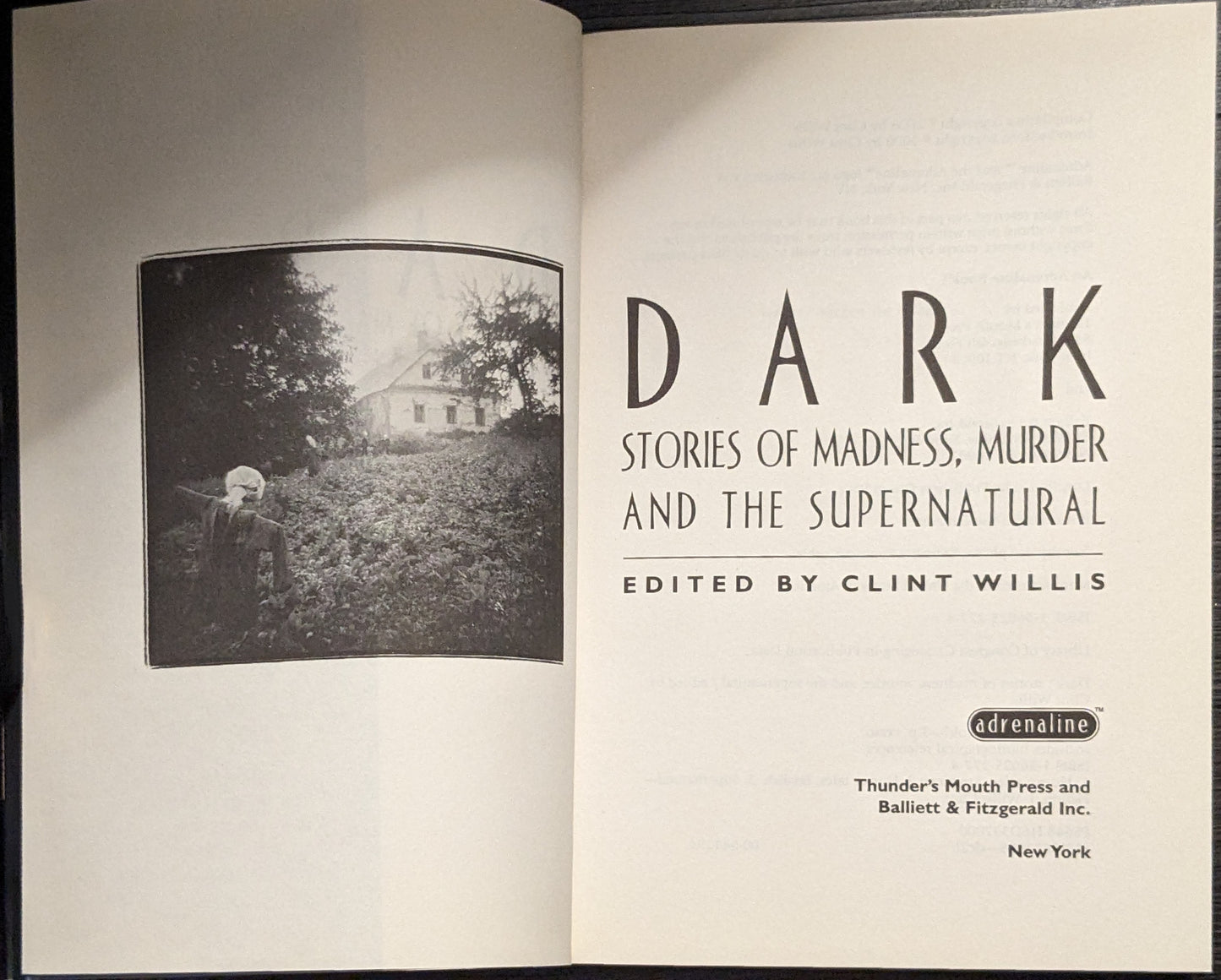 Dark Stories of Madness, Murder and the Supernatural edited by Clint Willis