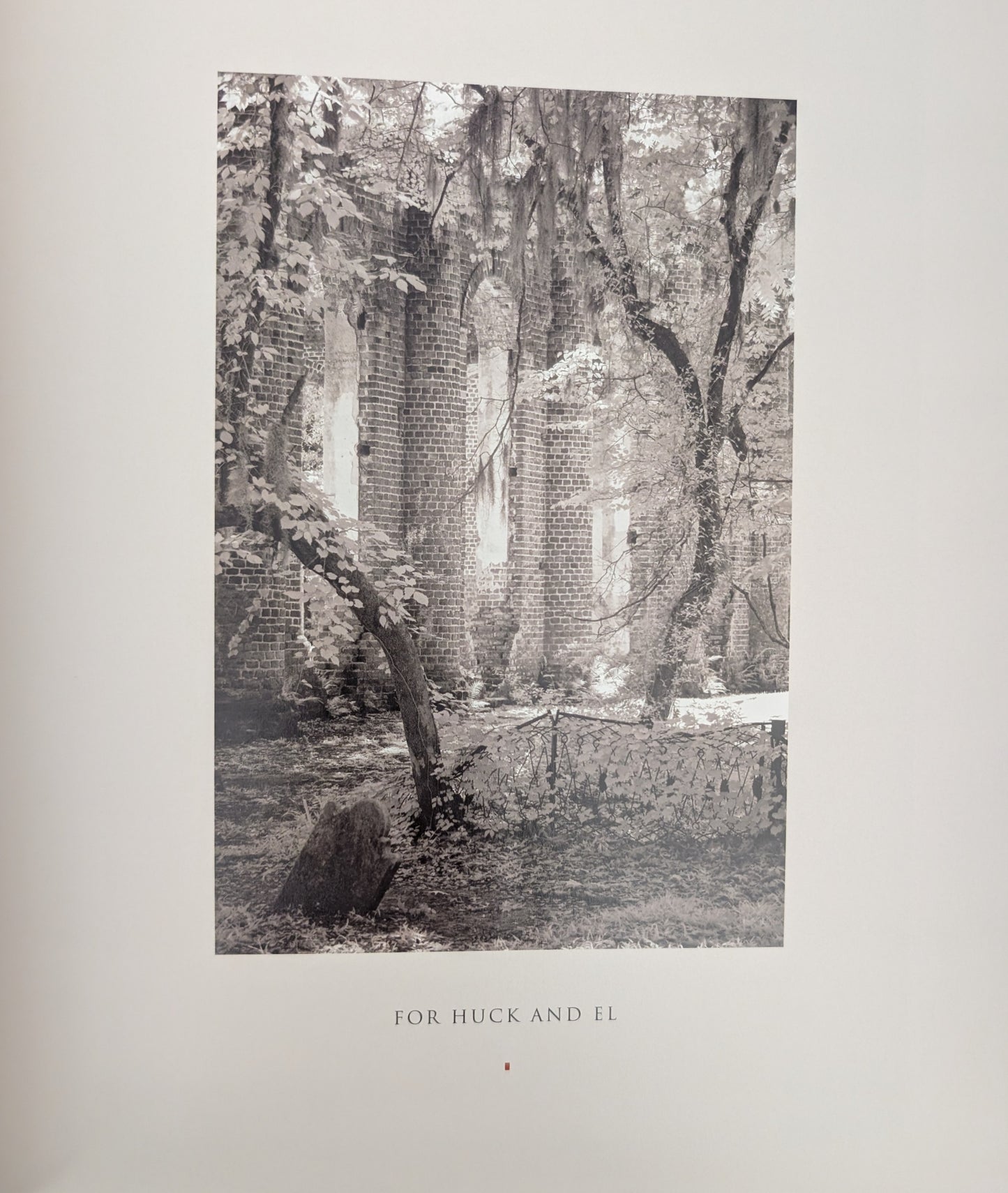American Ruins photographs by Arthur Drooker and essay by Christopher Woodward