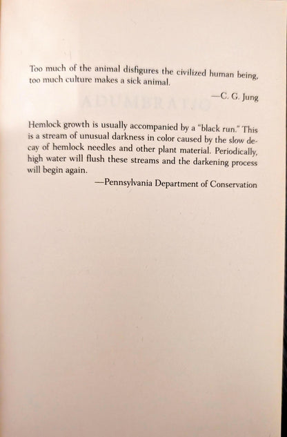 Hemlock Grove, or The Wise Wolf by Brian McGreevy