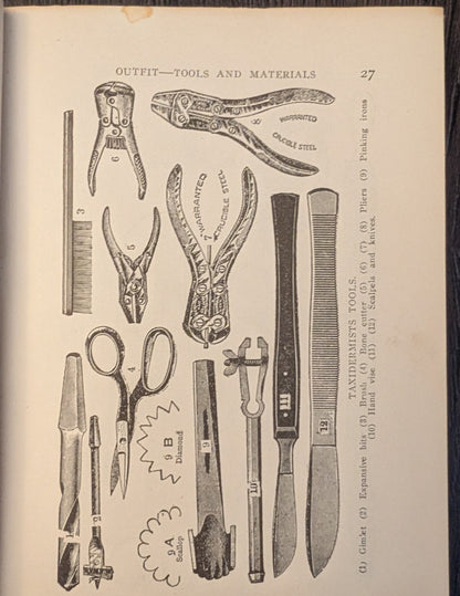 Home Taxidermy for Pleasure and Profit by Albert B. Farnham