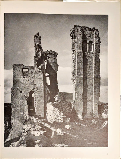 Ruins by Michael Felmingham and Rigby Graham