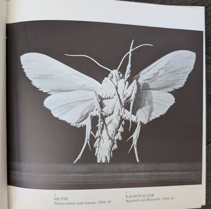 Light From The Darkness: The Painting of Peter Birkhäuser
