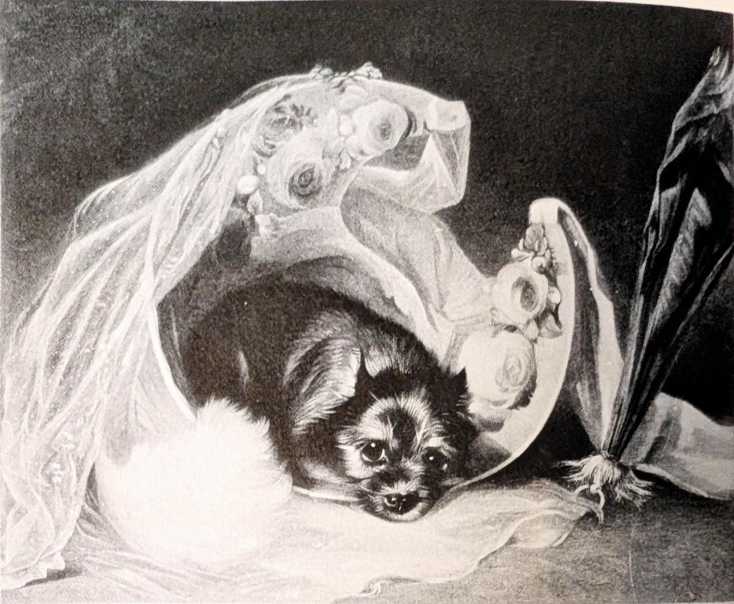 Victorian Engravings by Rodney K. Engen ed. by Hilary Beck