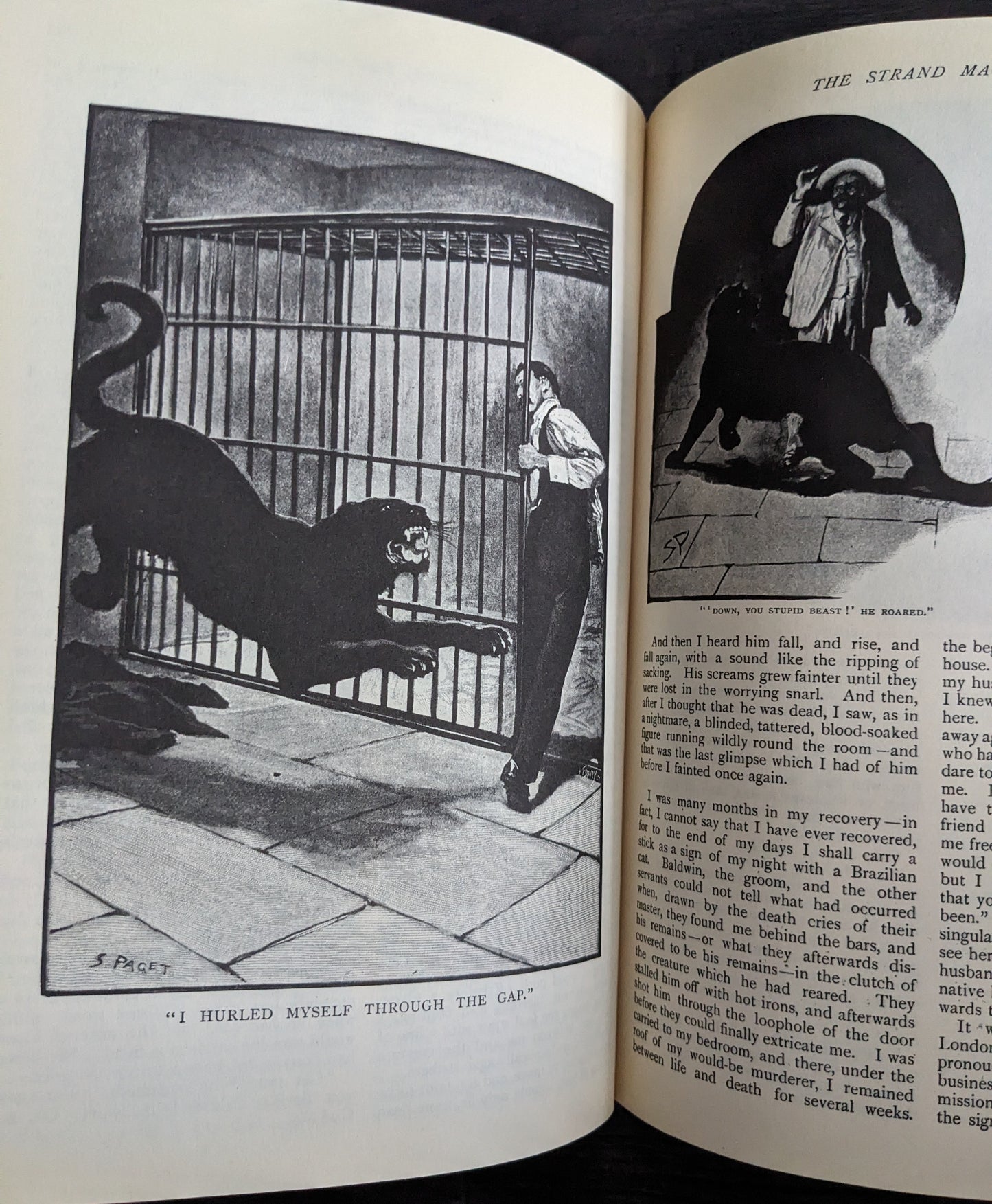 The Original Illustrated Arthur Conan Doyle