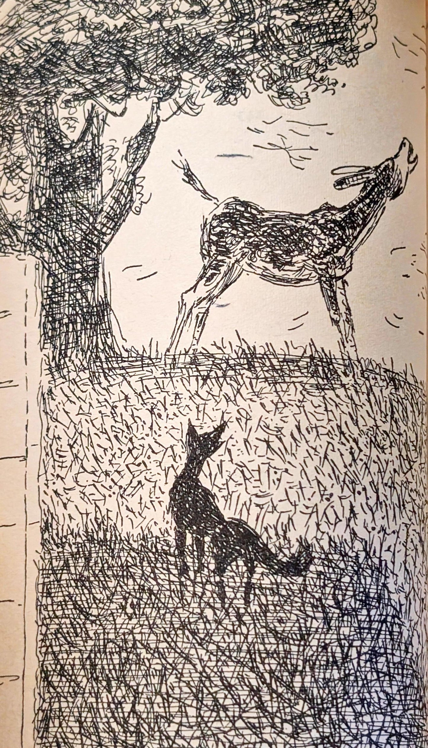 Fables of Aesop
