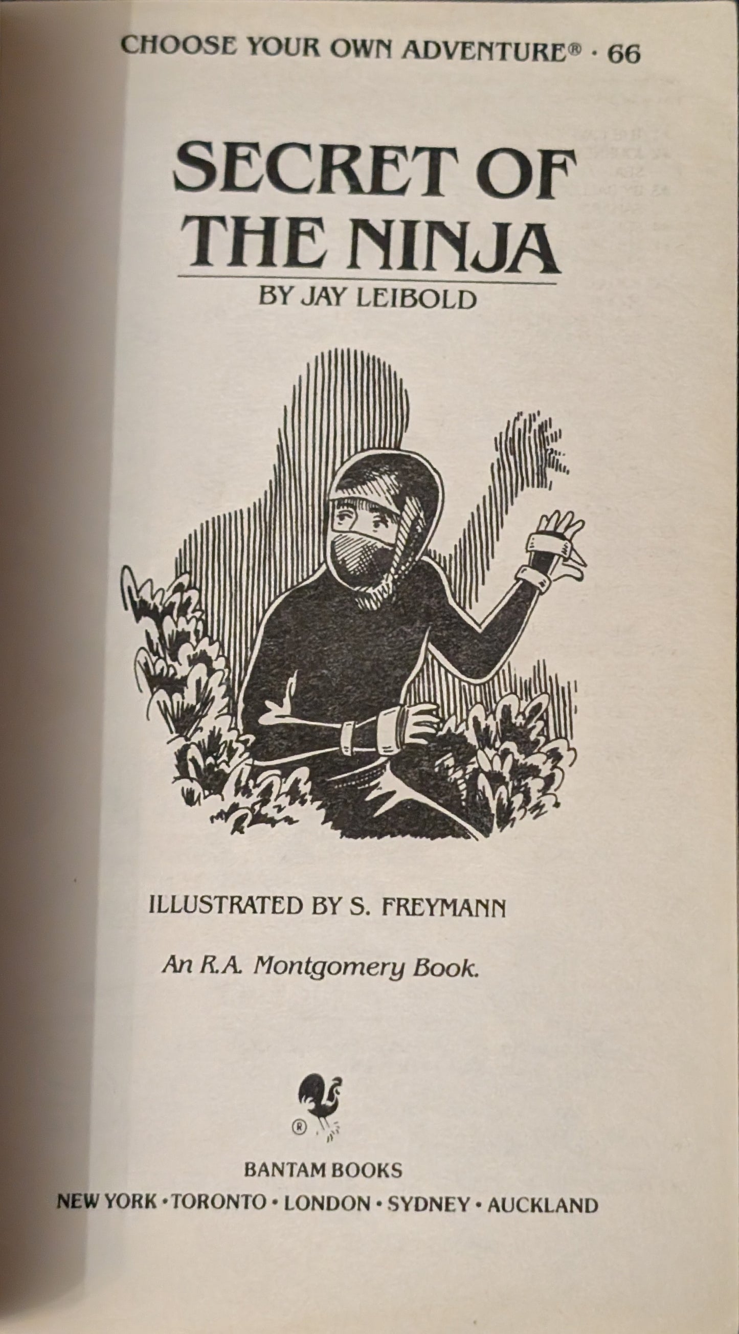 Secret of the Ninja by Jay Leibold (Choose Your Own Adventure)