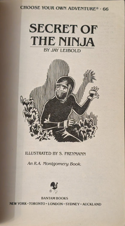 Secret of the Ninja by Jay Leibold (Choose Your Own Adventure)