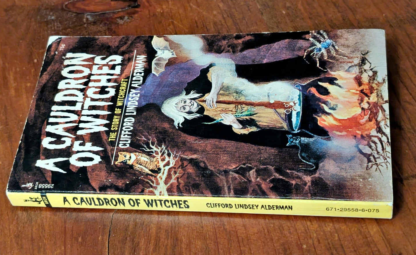 A Cauldron of Witches: The Story of Witchcraft by Clifford Lindsey Alderman
