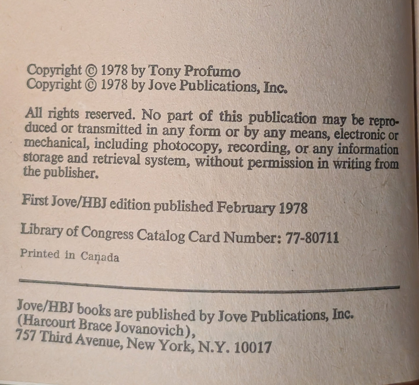 The Mime by Terry Profumo