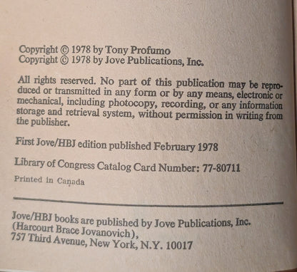 The Mime by Terry Profumo