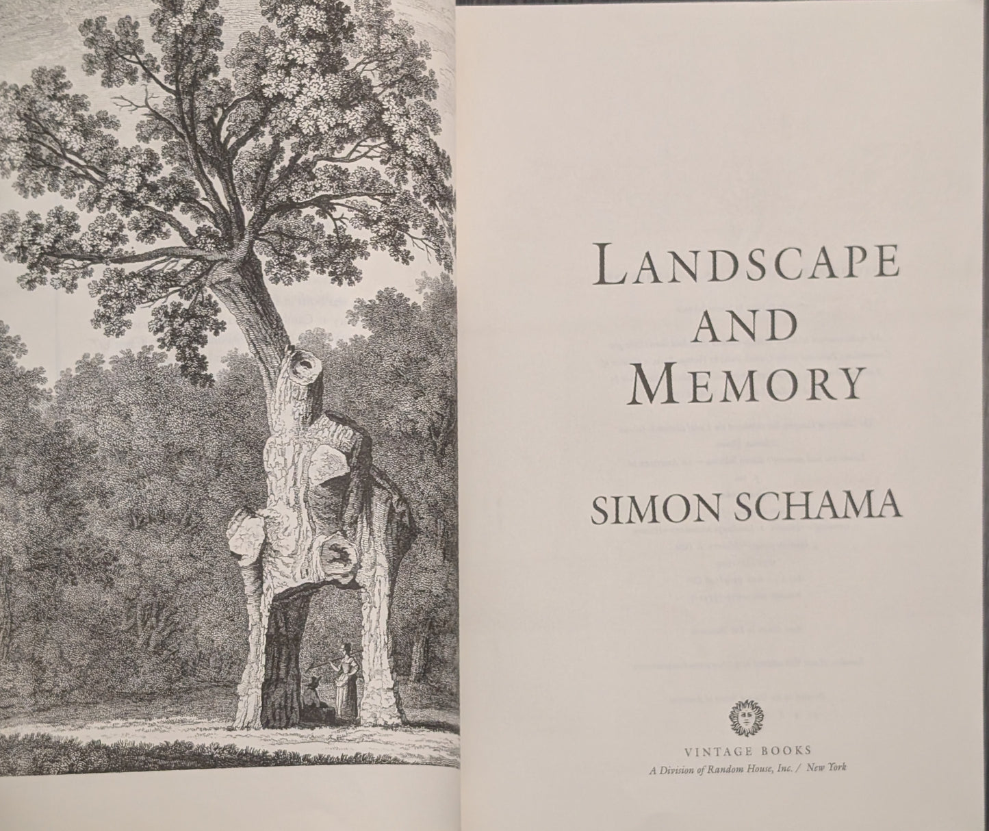 Landscape and Memory by Simon Schama