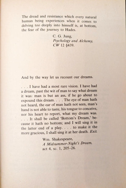 The Dream and The Underworld by James Hillman