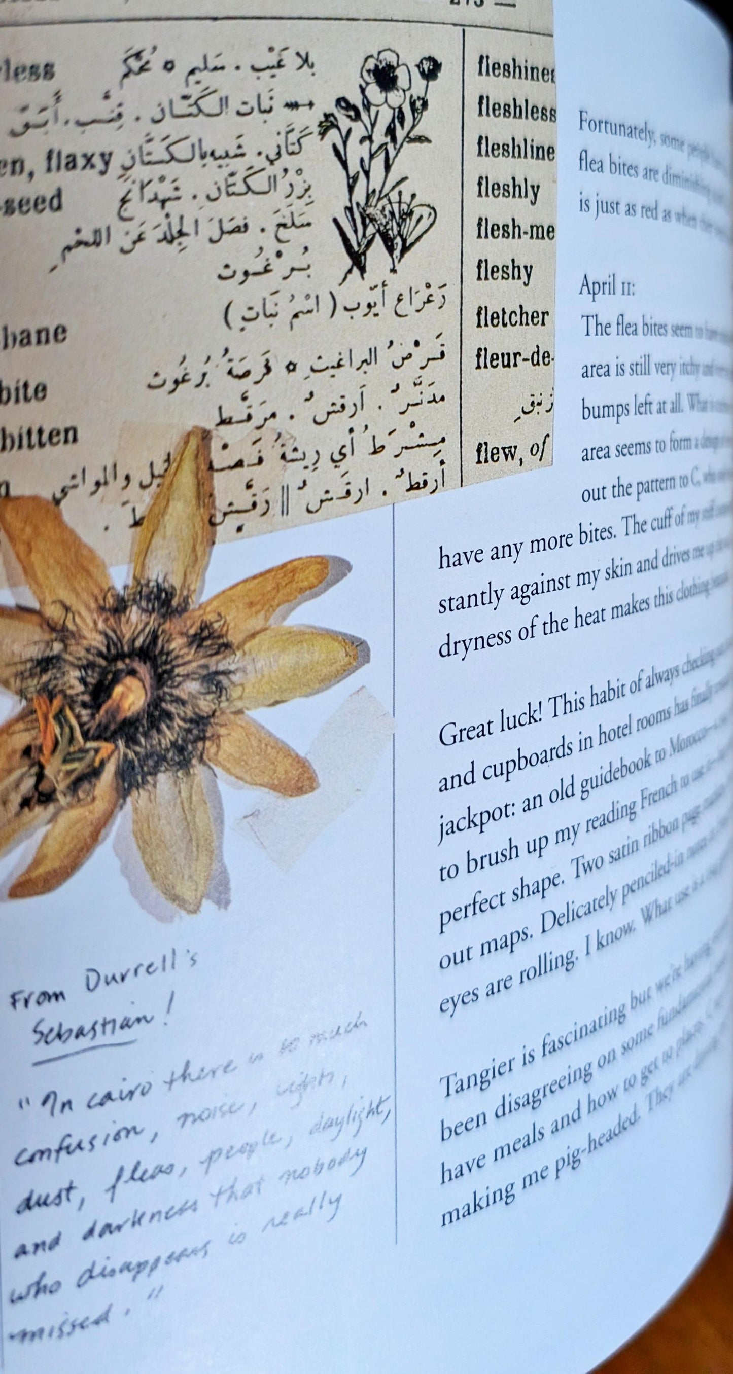 The Tattooed Map by Barbara Hodgson