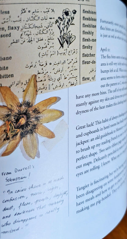 The Tattooed Map by Barbara Hodgson