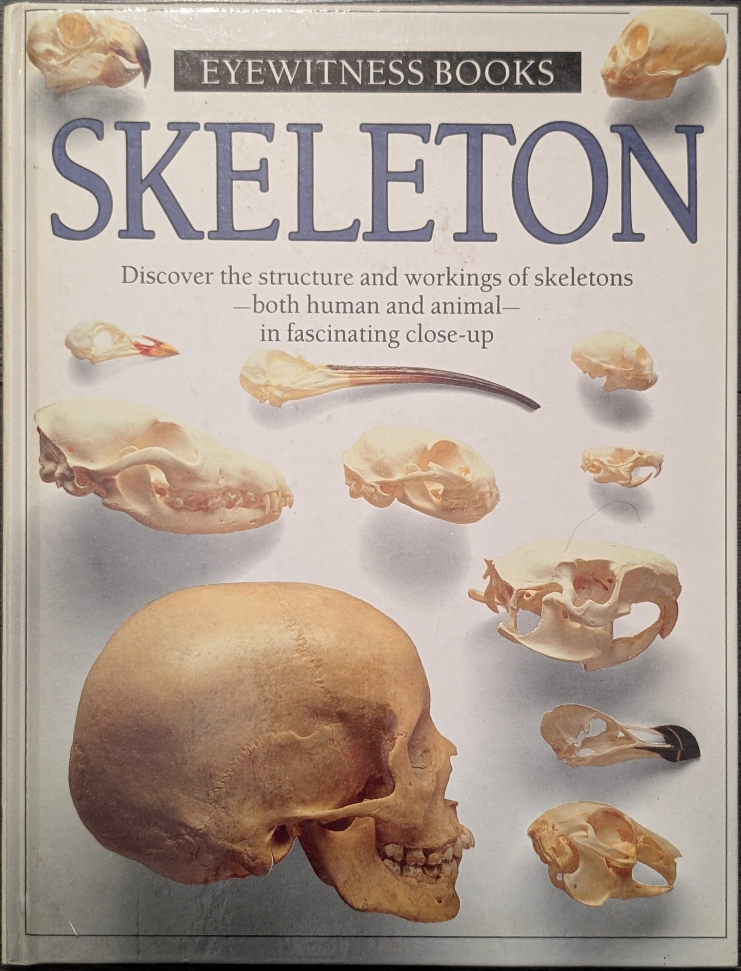 Eyewitness Books: Skeleton