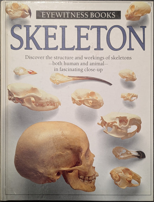 Eyewitness Books: Skeleton