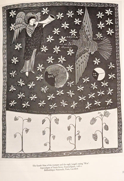 The History of the Illustrated Book: The Western Tradition by John Harthan