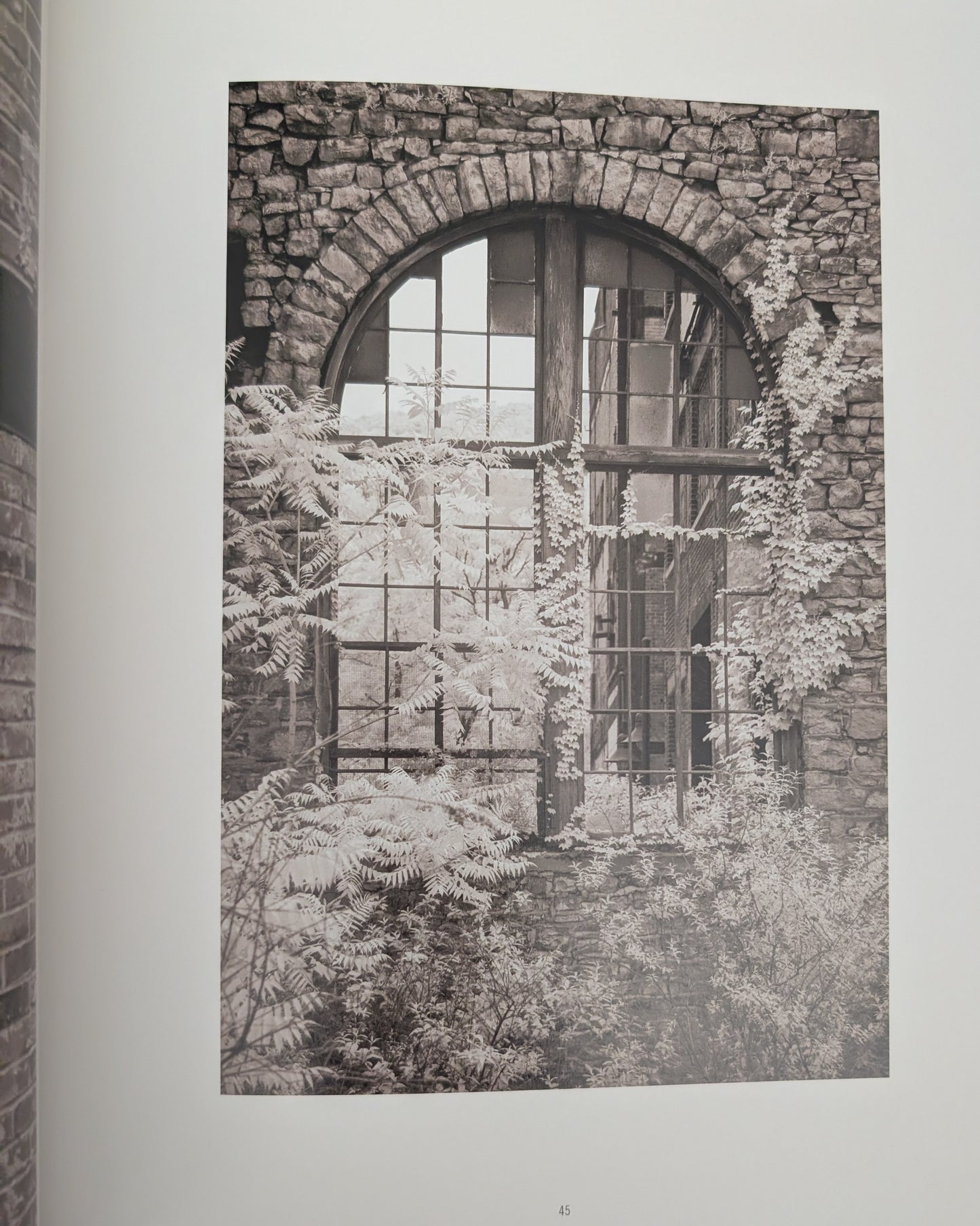 American Ruins photographs by Arthur Drooker and essay by Christopher Woodward