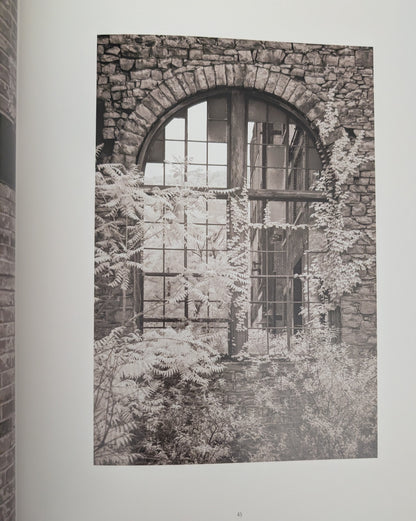 American Ruins photographs by Arthur Drooker and essay by Christopher Woodward