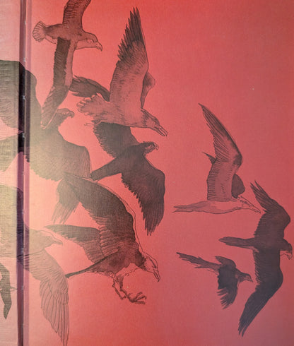 Daphne du Maurier's Classics of the Macabre illustrated by Michael Foreman