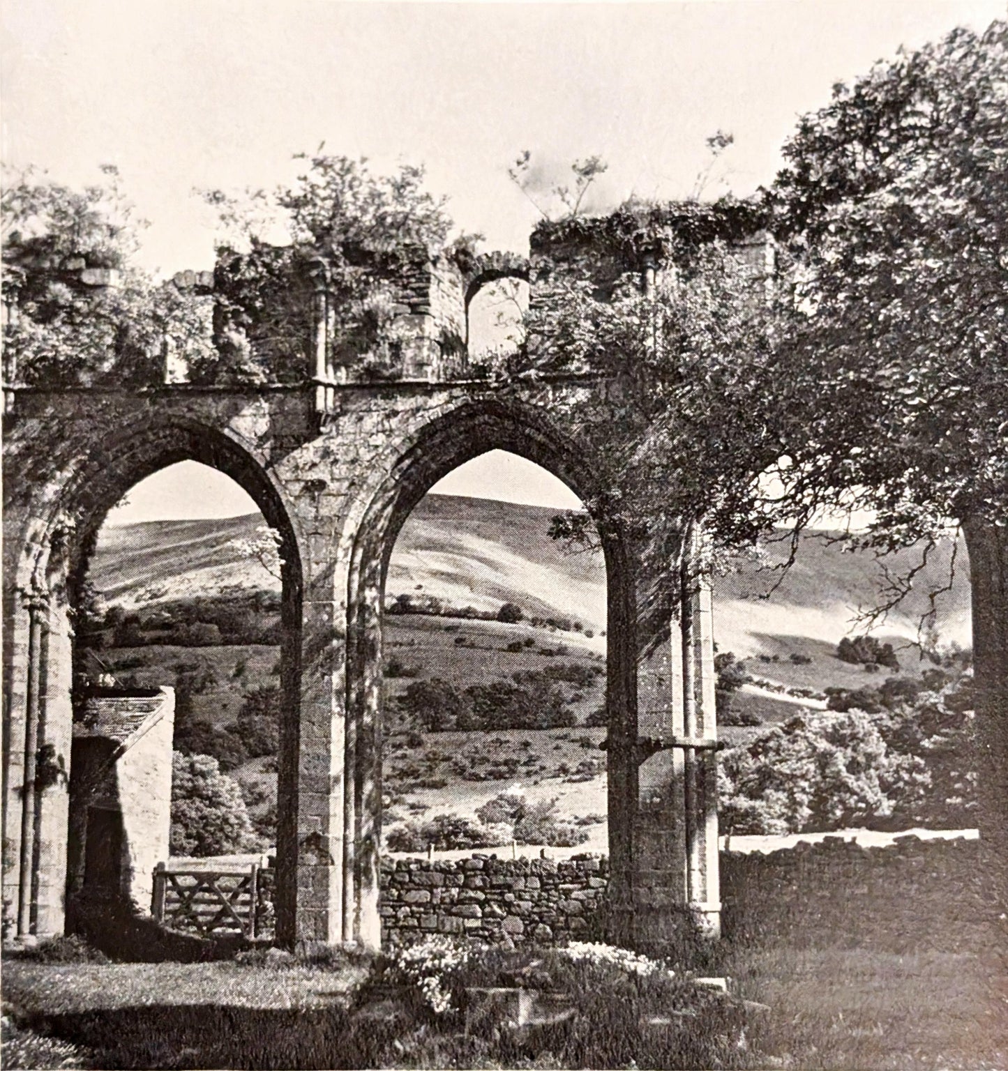 Ruins by Michael Felmingham and Rigby Graham