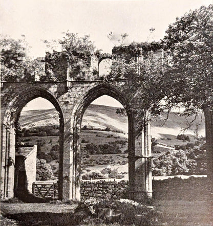 Ruins by Michael Felmingham and Rigby Graham