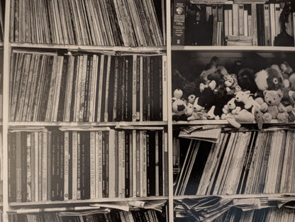 Elephant House or, The Home of Edward Gorey by photographs and text by Kevin McDermott