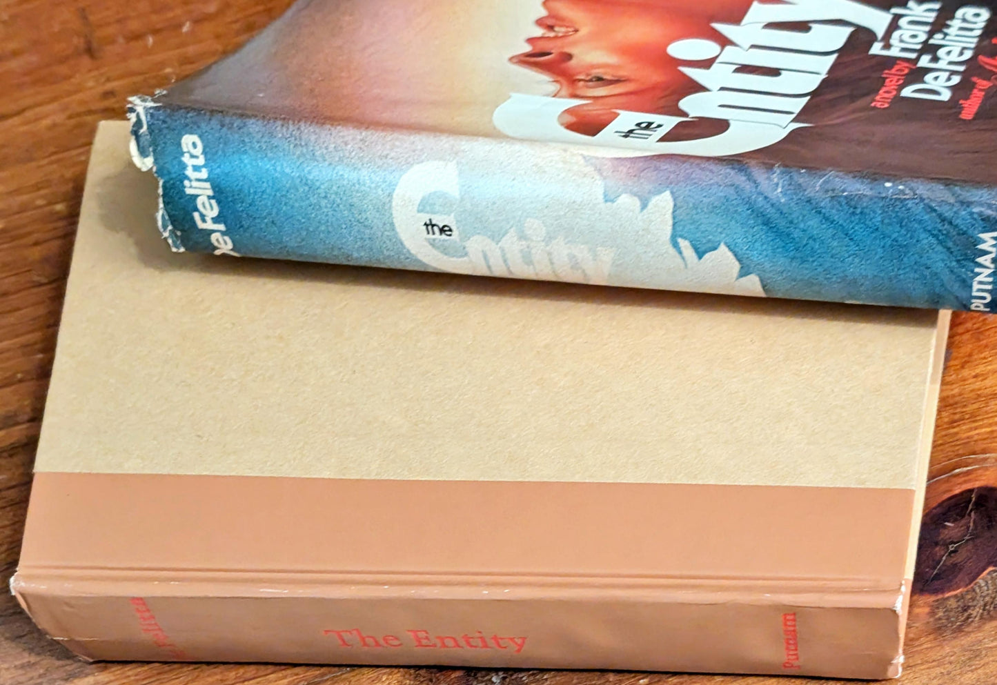 The Entity by Frank DeFelitta