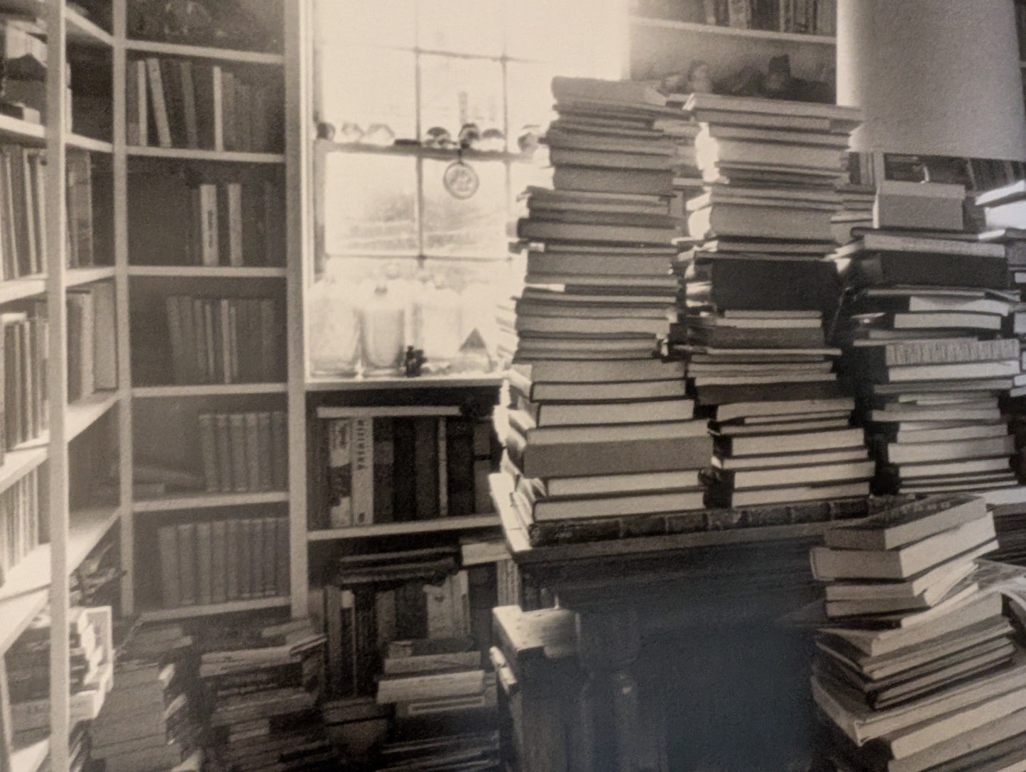 Elephant House or, The Home of Edward Gorey by photographs and text by Kevin McDermott