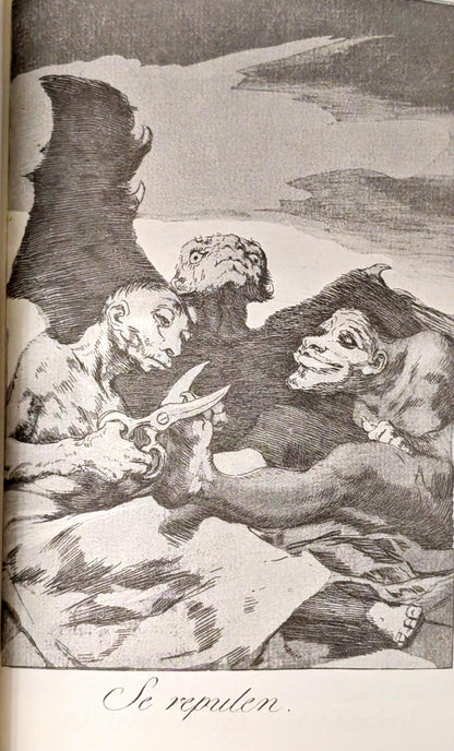 Los Caprichos by Francisco Goya