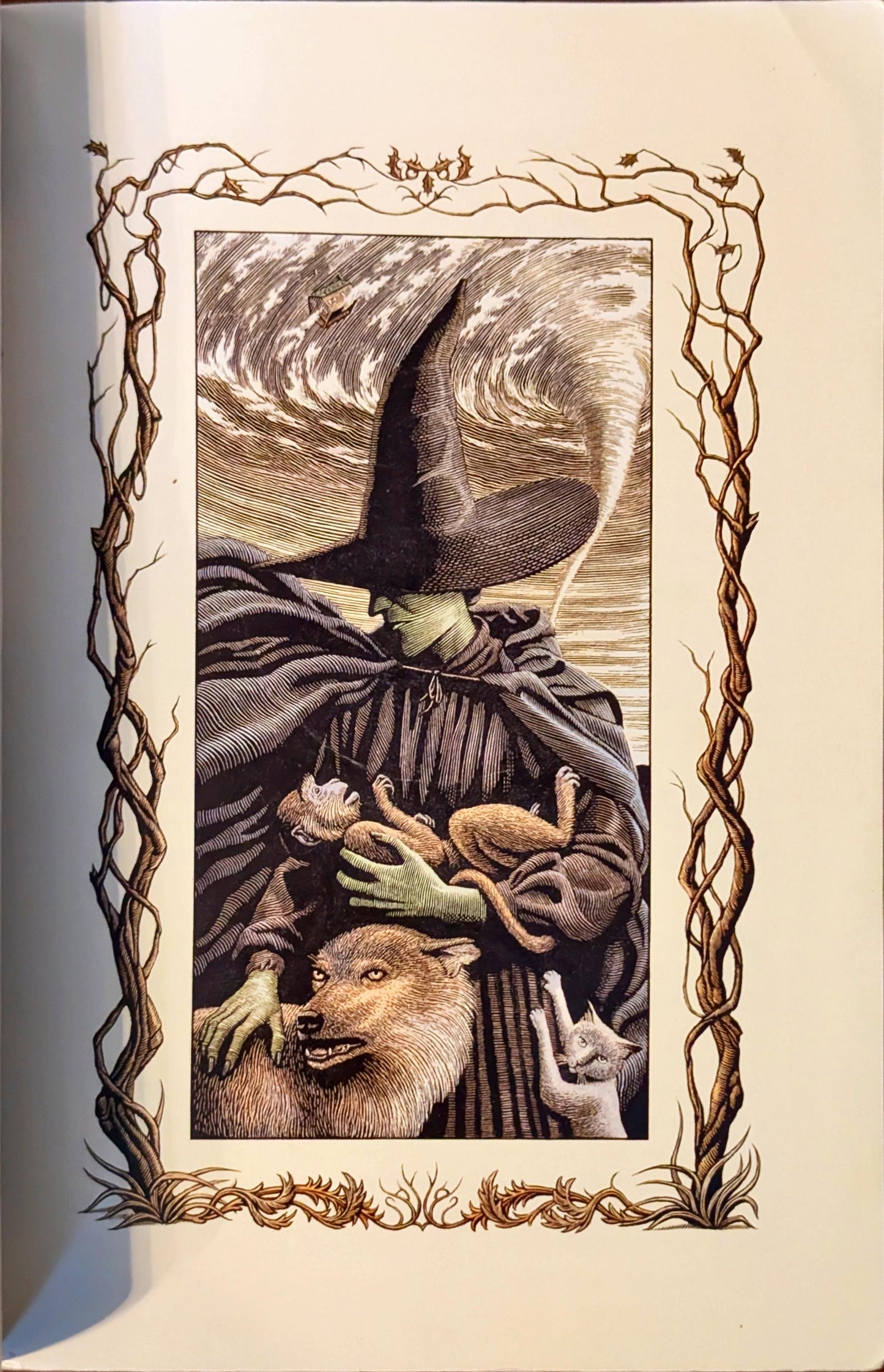 Wicked: The Life and Times of the Wicked Witch of the West by Gregory Maguire