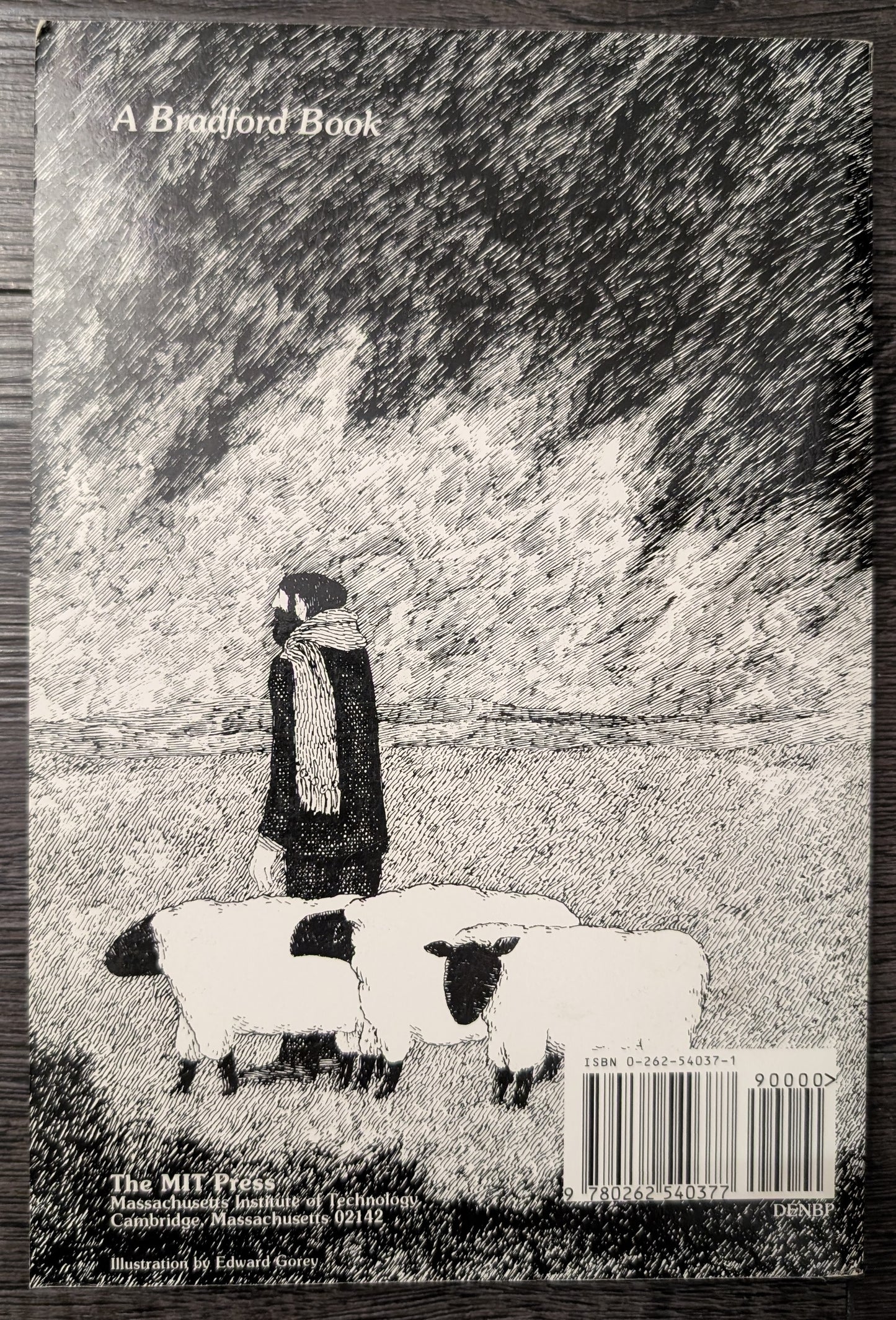 Brainstorms by Daniel C. Dennet