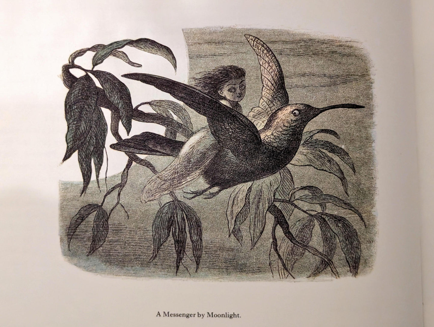 In Fairyland: A Series of Pictures from the Elf World by Richard Doyle