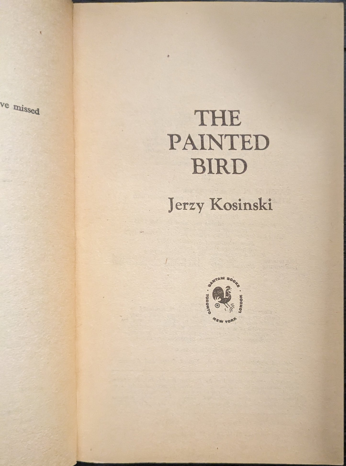 The Painted Bird by Jerzy Kosinski