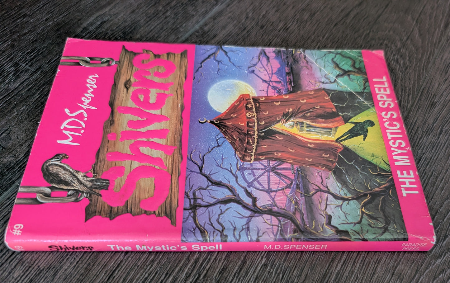 The Mystics Spell (Shivers #9) by M.D Spenser