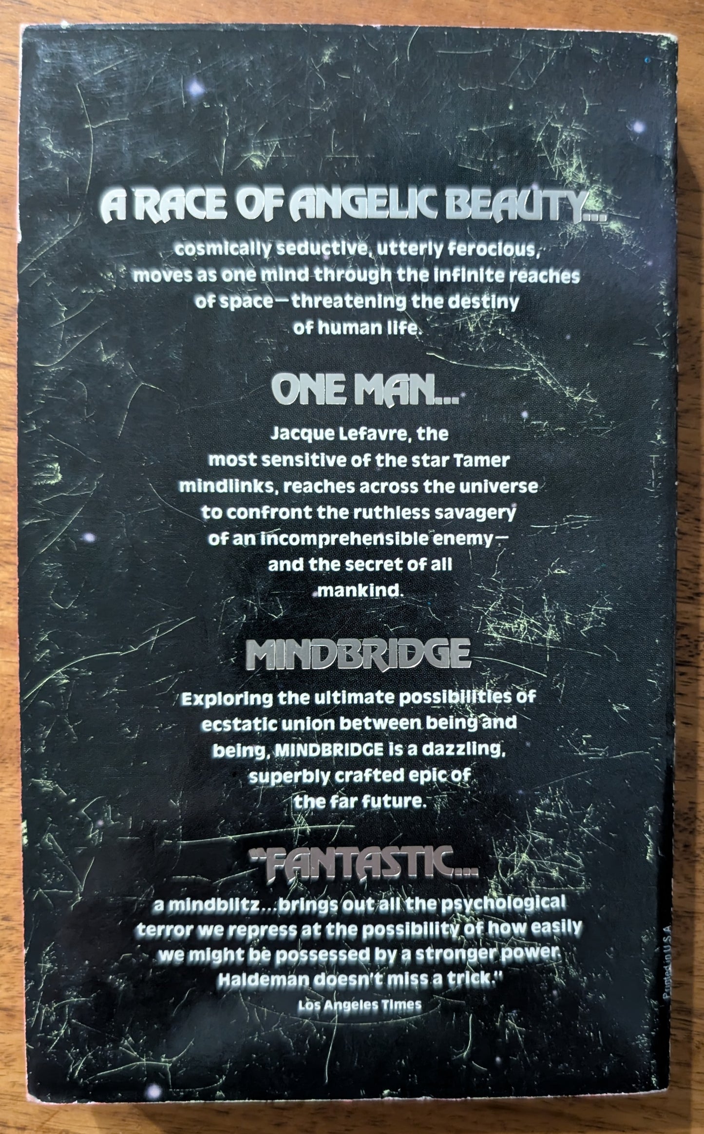 Mindbridge by Joe Haldeman