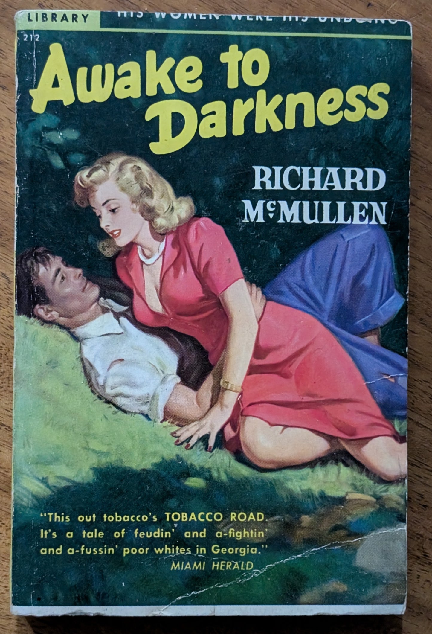 Awake to Darkness by Richard McMullen