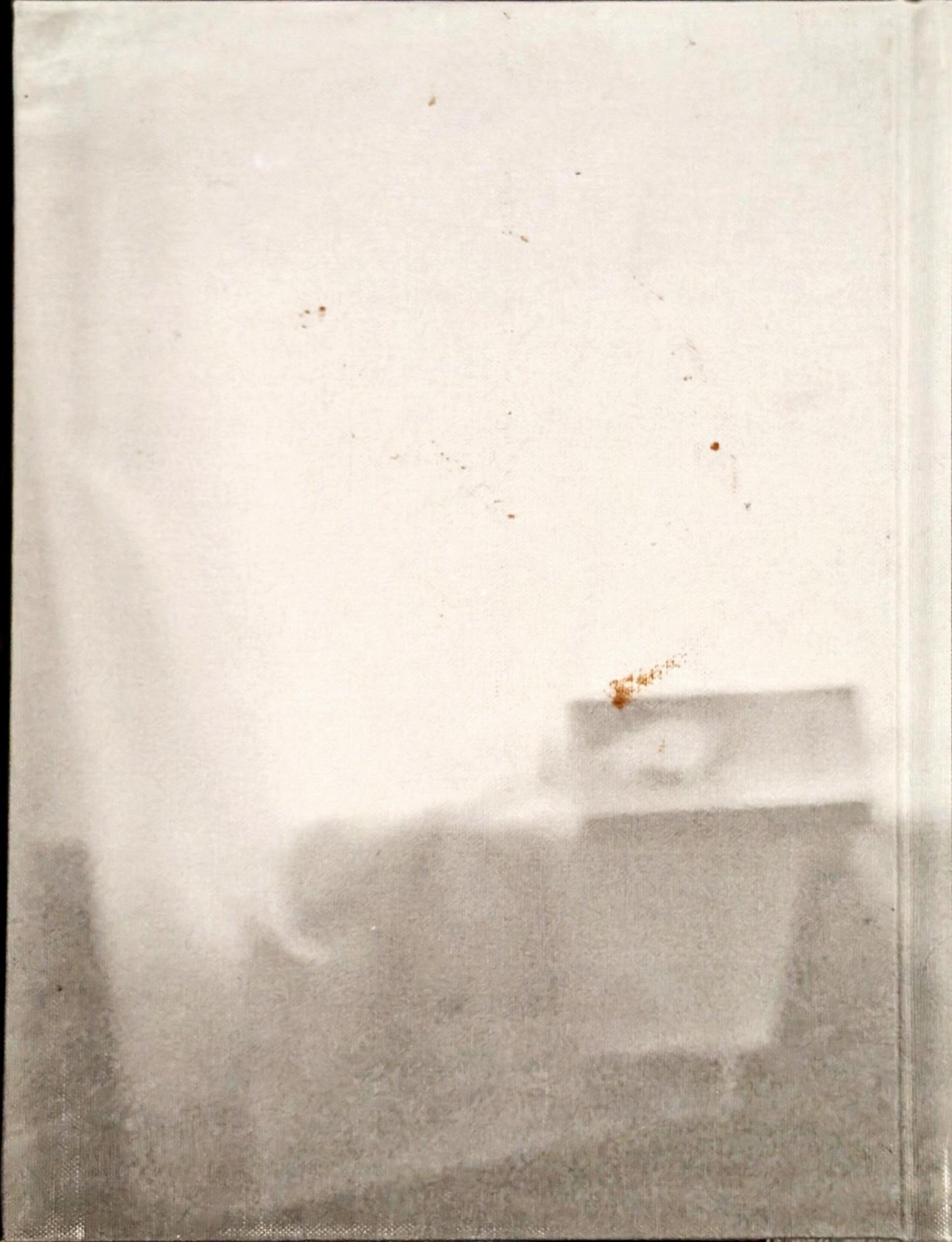 Thingness in Doubt by Therese Bolliger