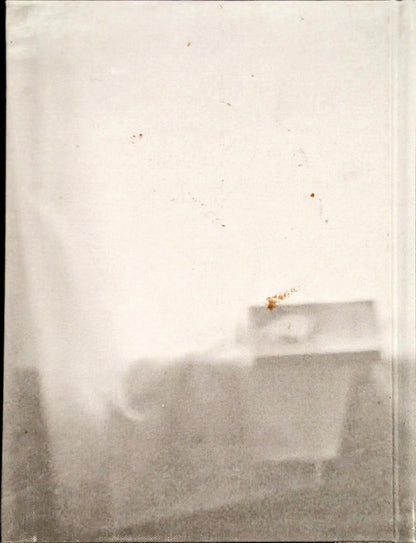 Thingness in Doubt by Therese Bolliger