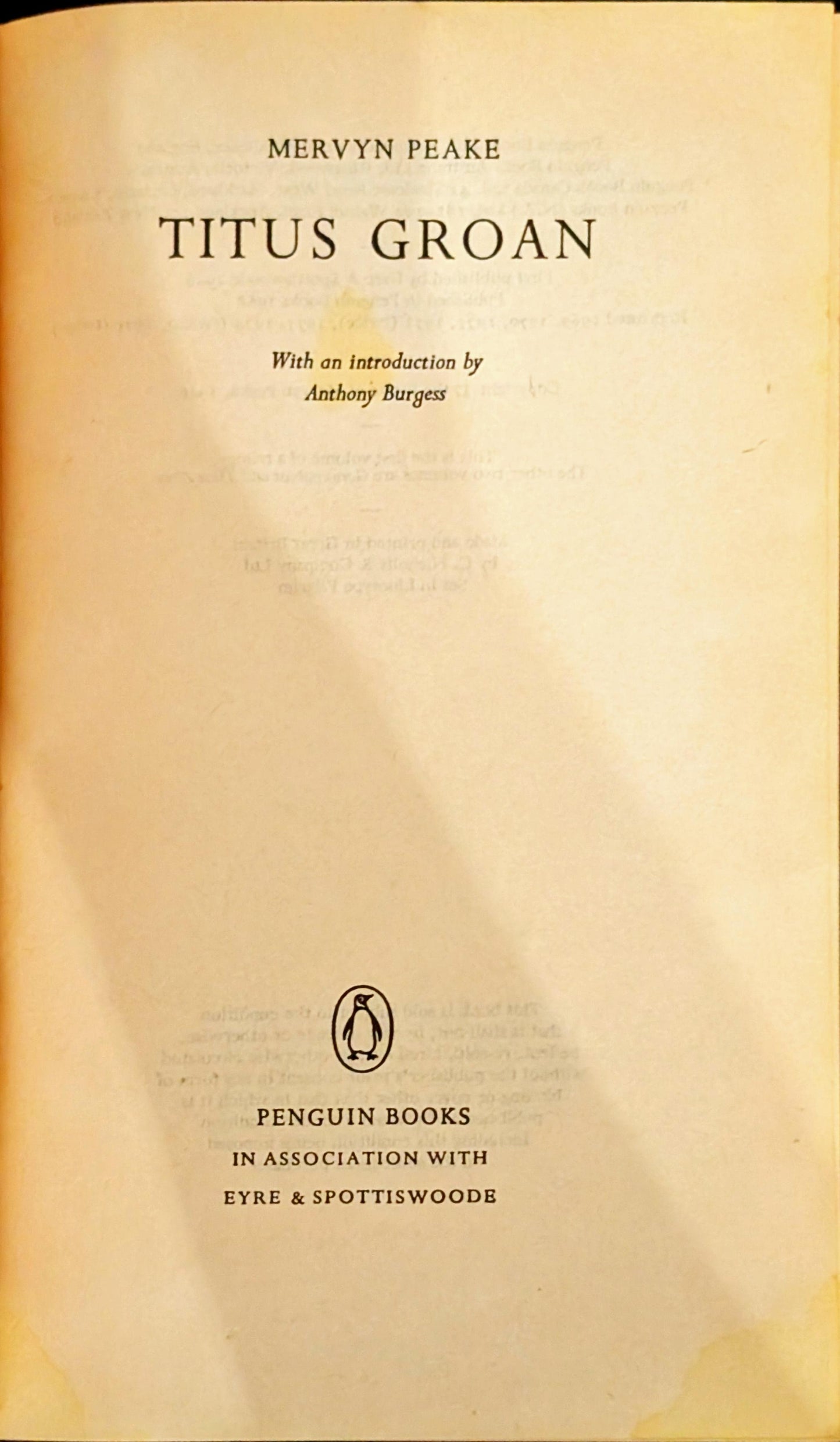 Titus Groan by Mervyn Peake