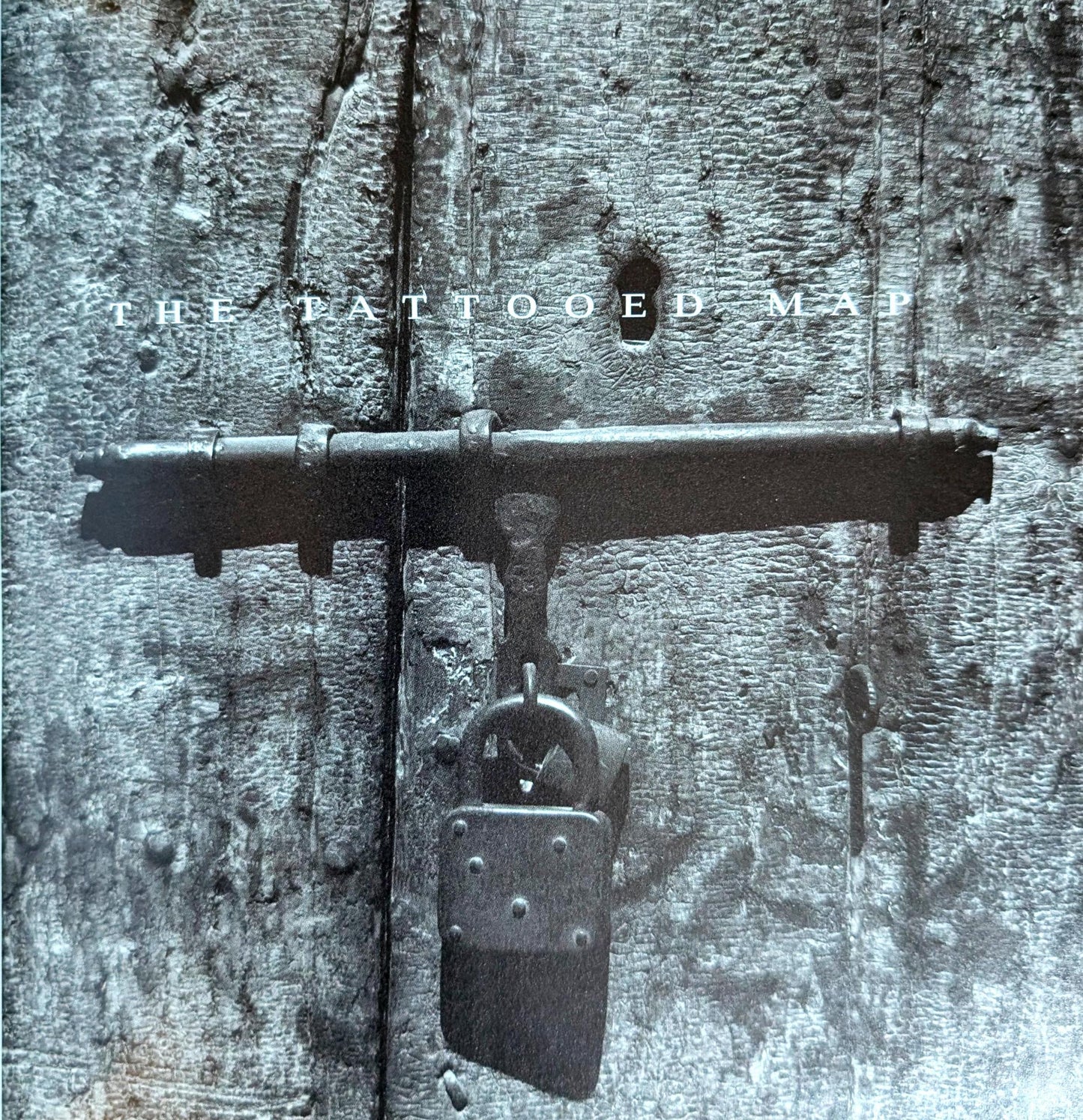 The Tattooed Map by Barbara Hodgson