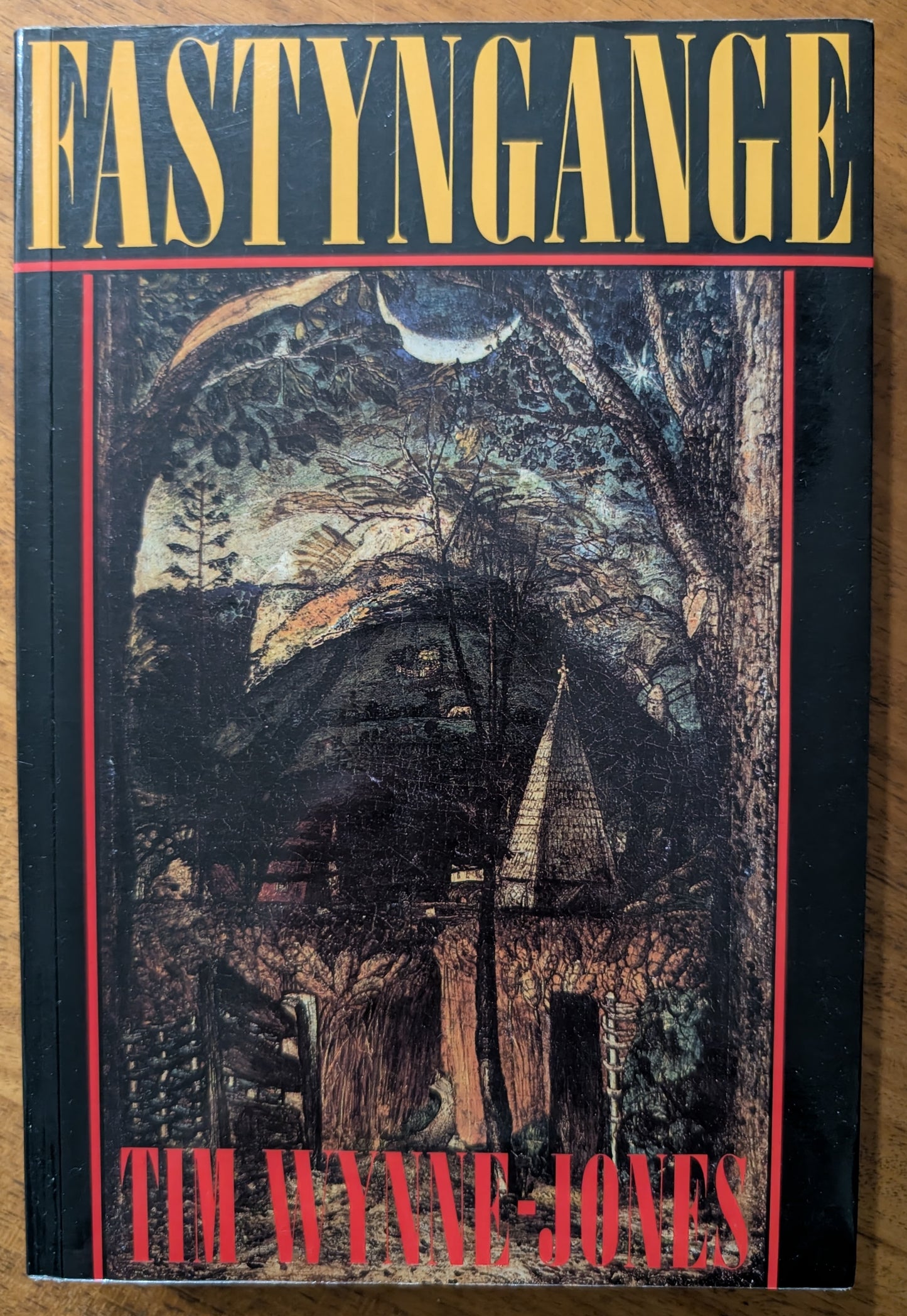 Fastyngange by Tim Wynne-Jones