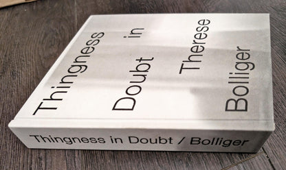 Thingness in Doubt by Therese Bolliger