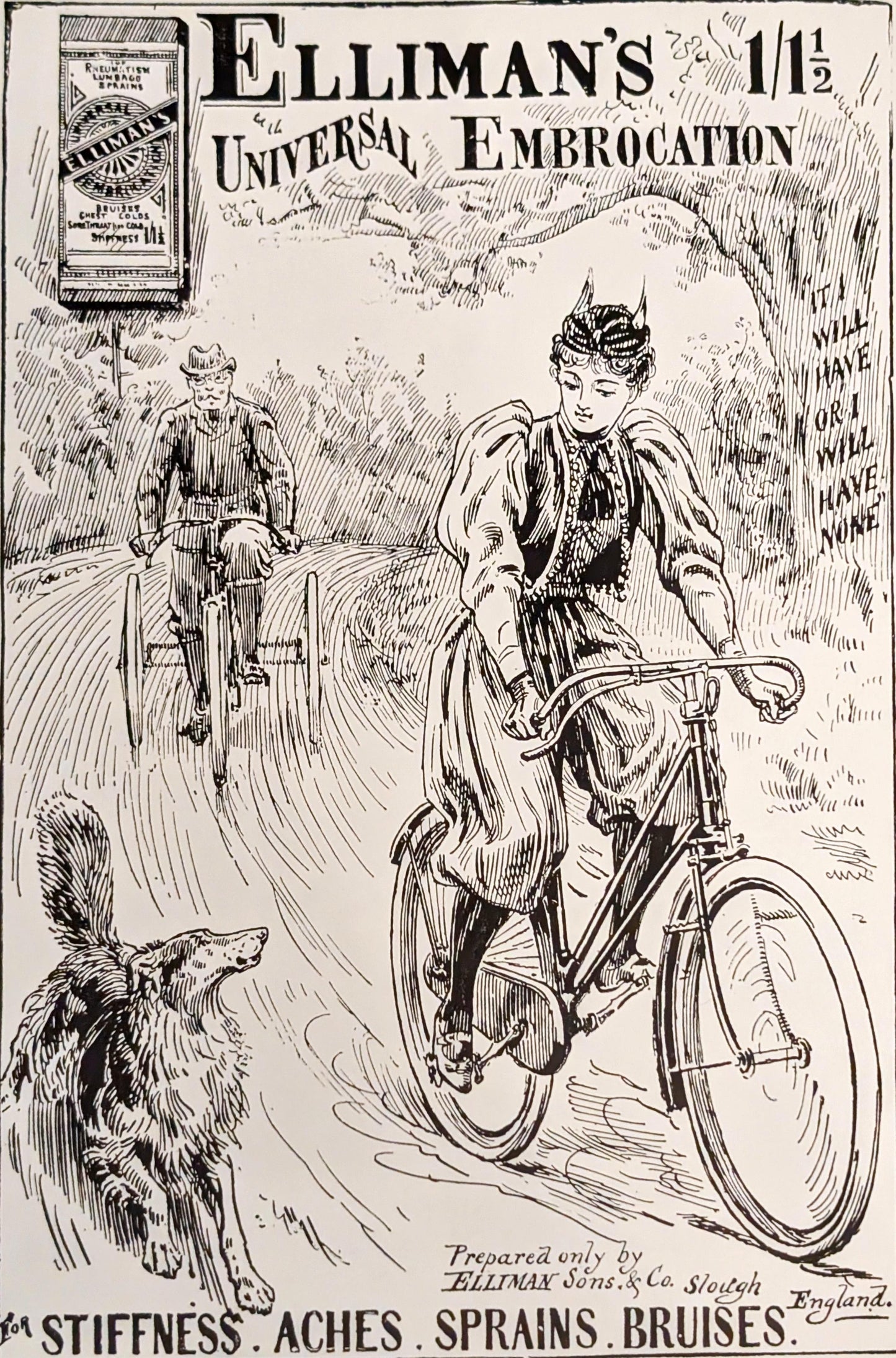 Advertising in Victorian England 1837-1901 by Diana & Geoffrey Hindley