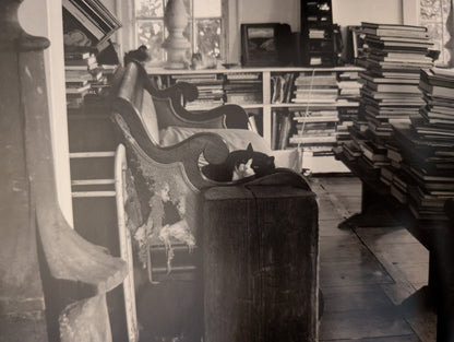 Elephant House or, The Home of Edward Gorey by photographs and text by Kevin McDermott